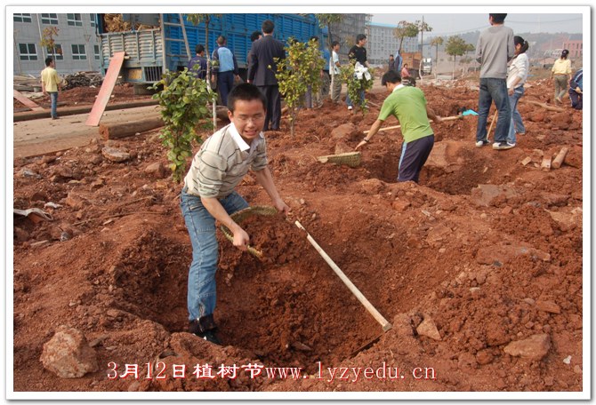 正源学校3月12日植树节组图