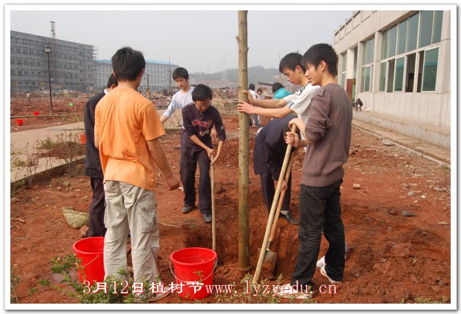 正源学校3月12日植树节组图