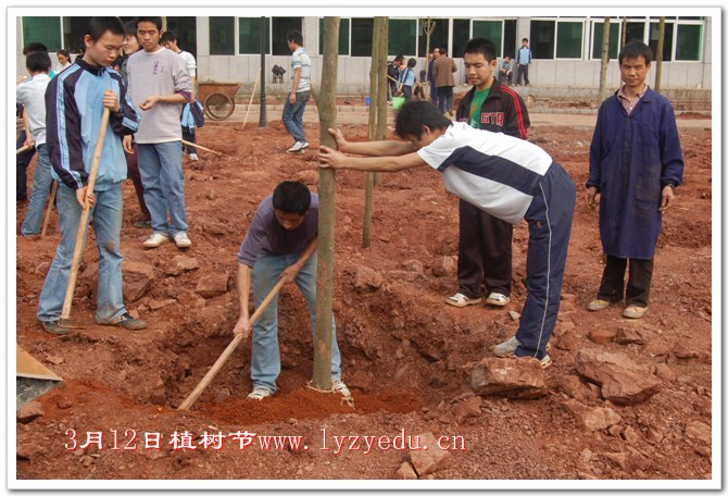 正源学校3月12日植树节组图