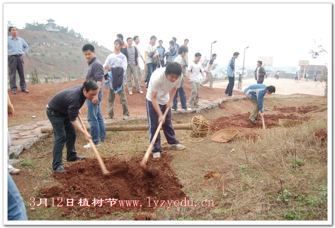 正源学校3月12日植树节组图