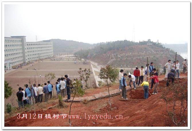 正源学校3月12日植树节组图