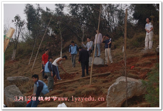 正源学校3月12日植树节组图